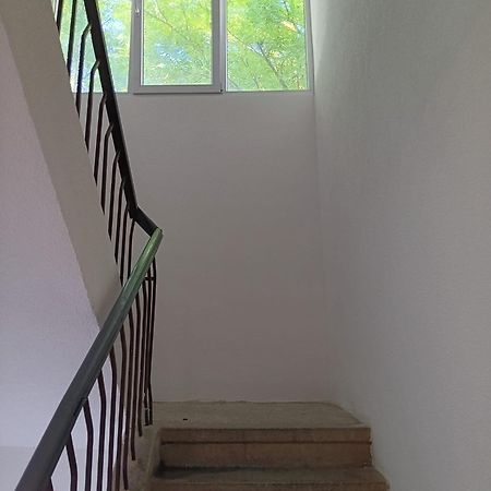 Apartman Sonja Hostel Dubrovnik Exterior photo